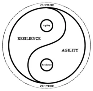 Leading Through Resilience and Agility
